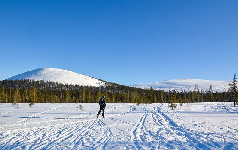 Dasher, Kolari