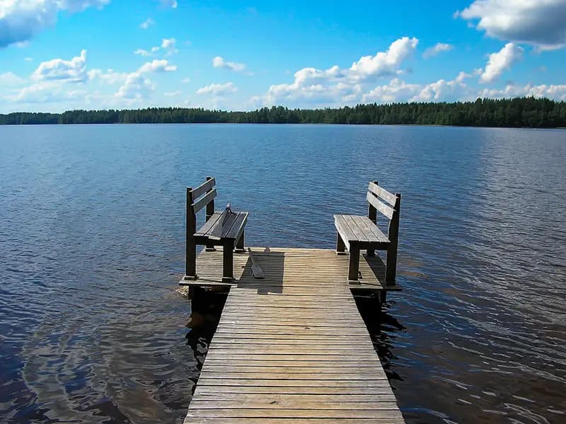 Hevonkuusi, Hankasalmi