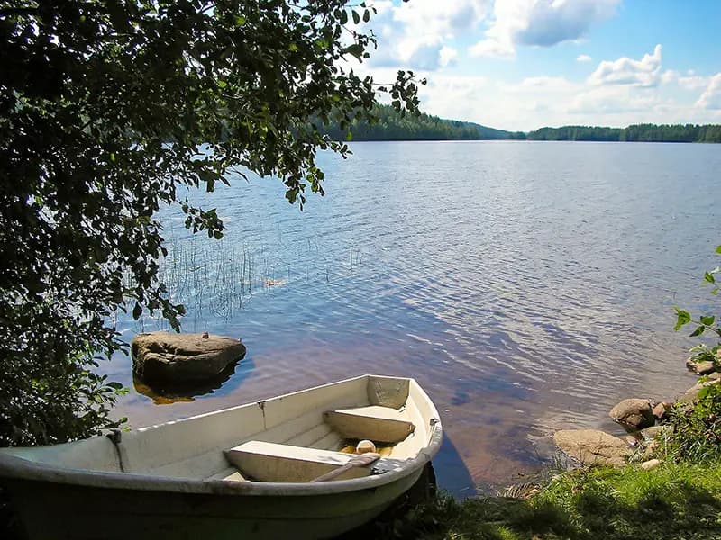 Hevonkuusi, Hankasalmi