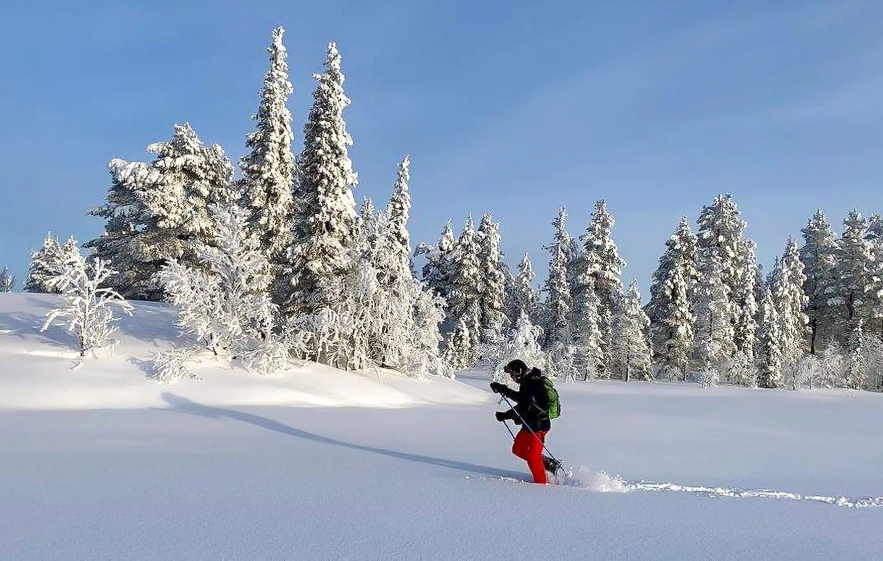 Juolukka, Kittilä
